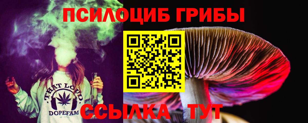 Галлюциногенные грибы прущие грибы Кизляр