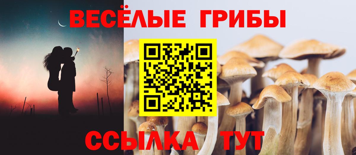 Галлюциногенные грибы прущие грибы  Вход с VPN  Кизляр 